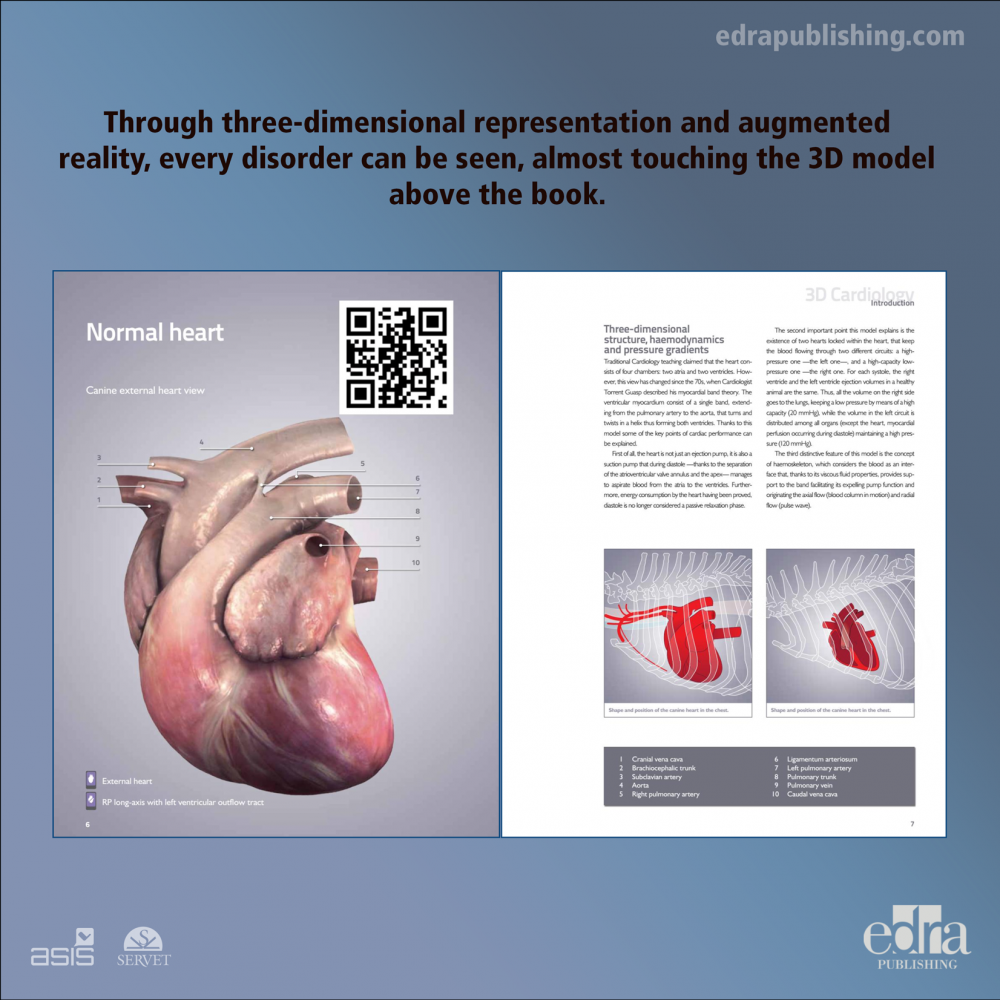 3D Cardiology in Small Animals