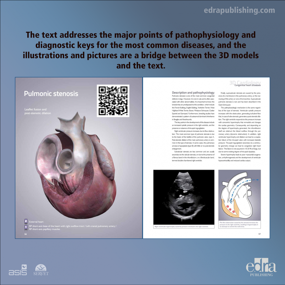 3D Cardiology in Small Animals