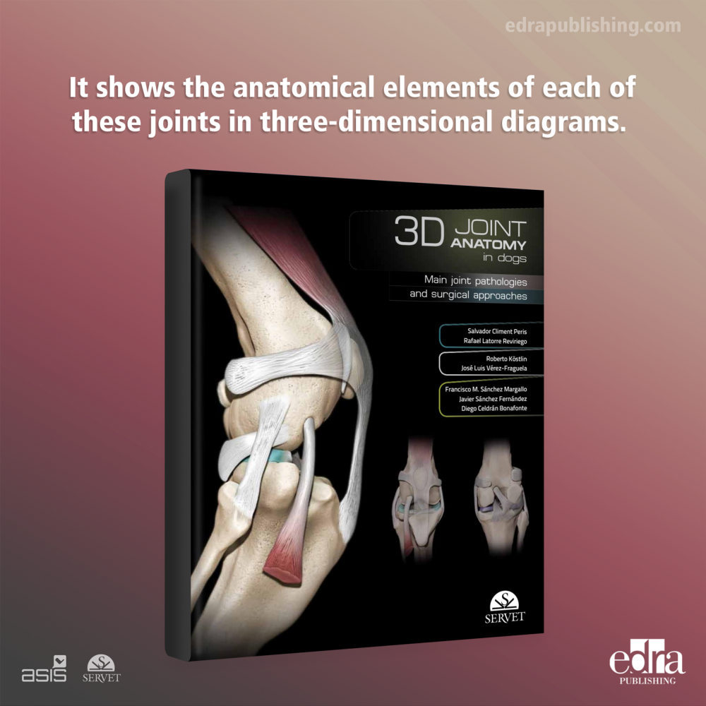 3D Joint Anatomy in Dogs. Main joint pathologies and surgical approaches