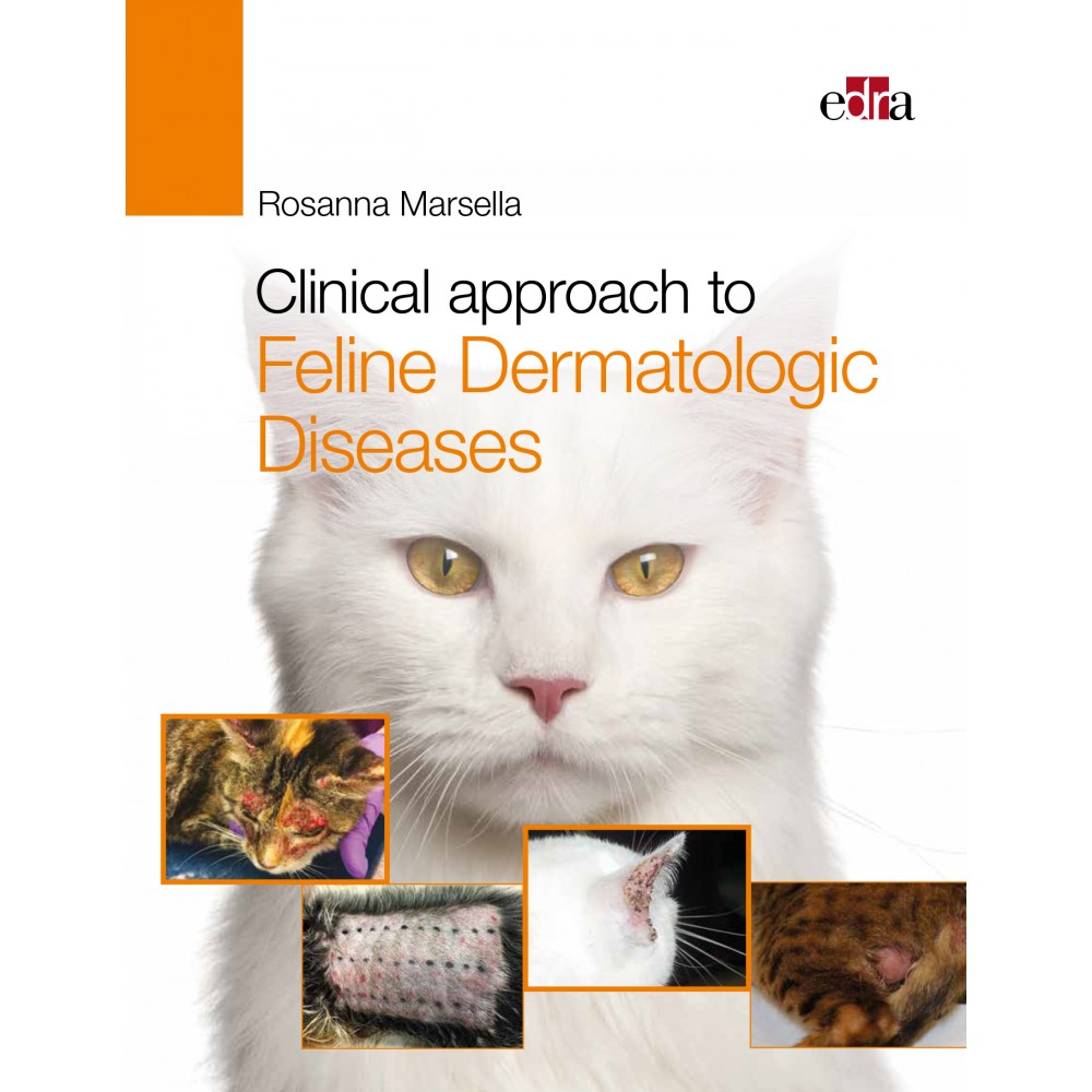 Clinical approach to Feline Dermatologic Diseases
