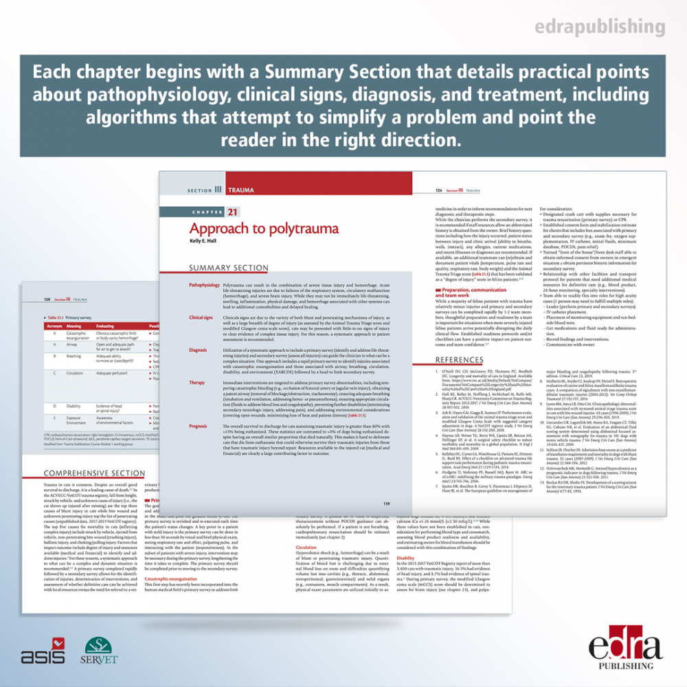 Feline Emergency & Critical Care