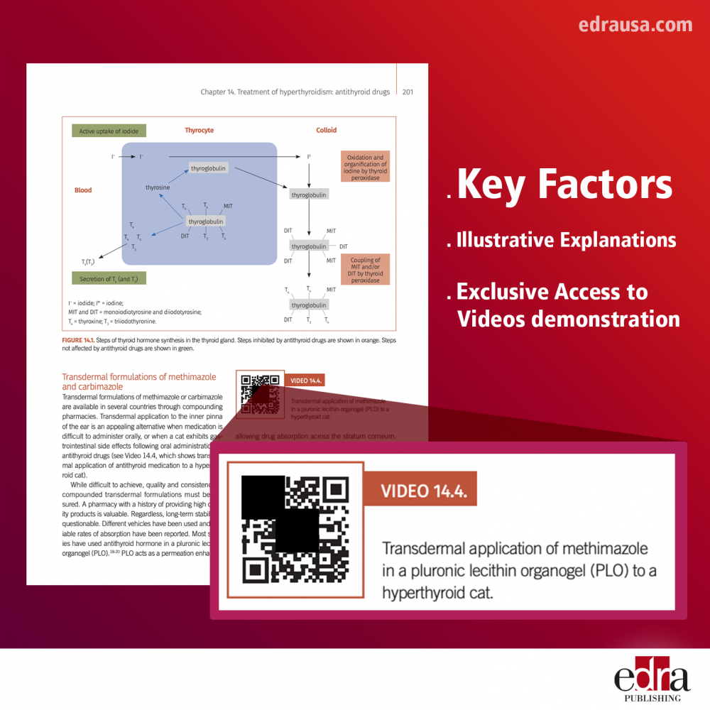 Feline Endocrinology - The First Complete Manual
