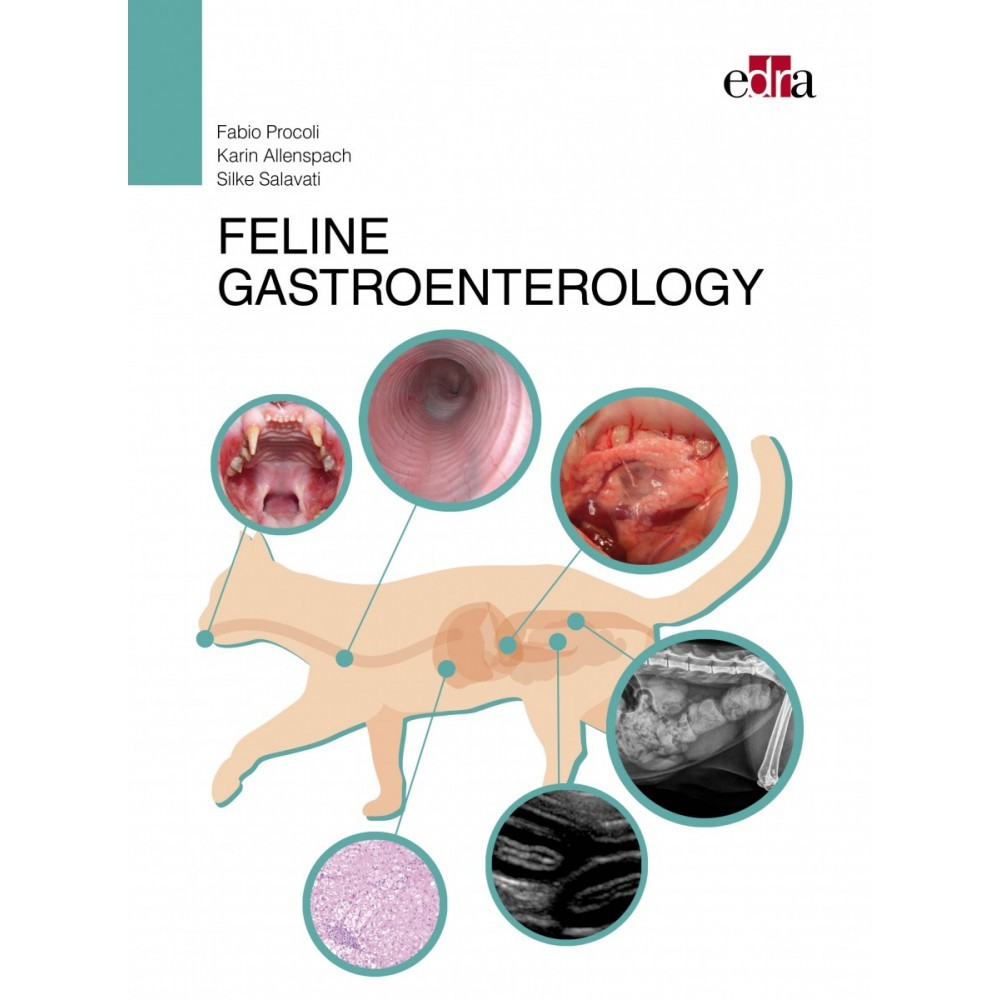 Feline Gastroenterology