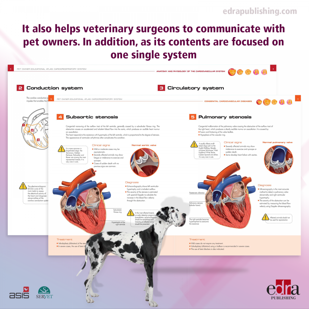 Pet Owner Educational Atlas. Cardiorespiratory System