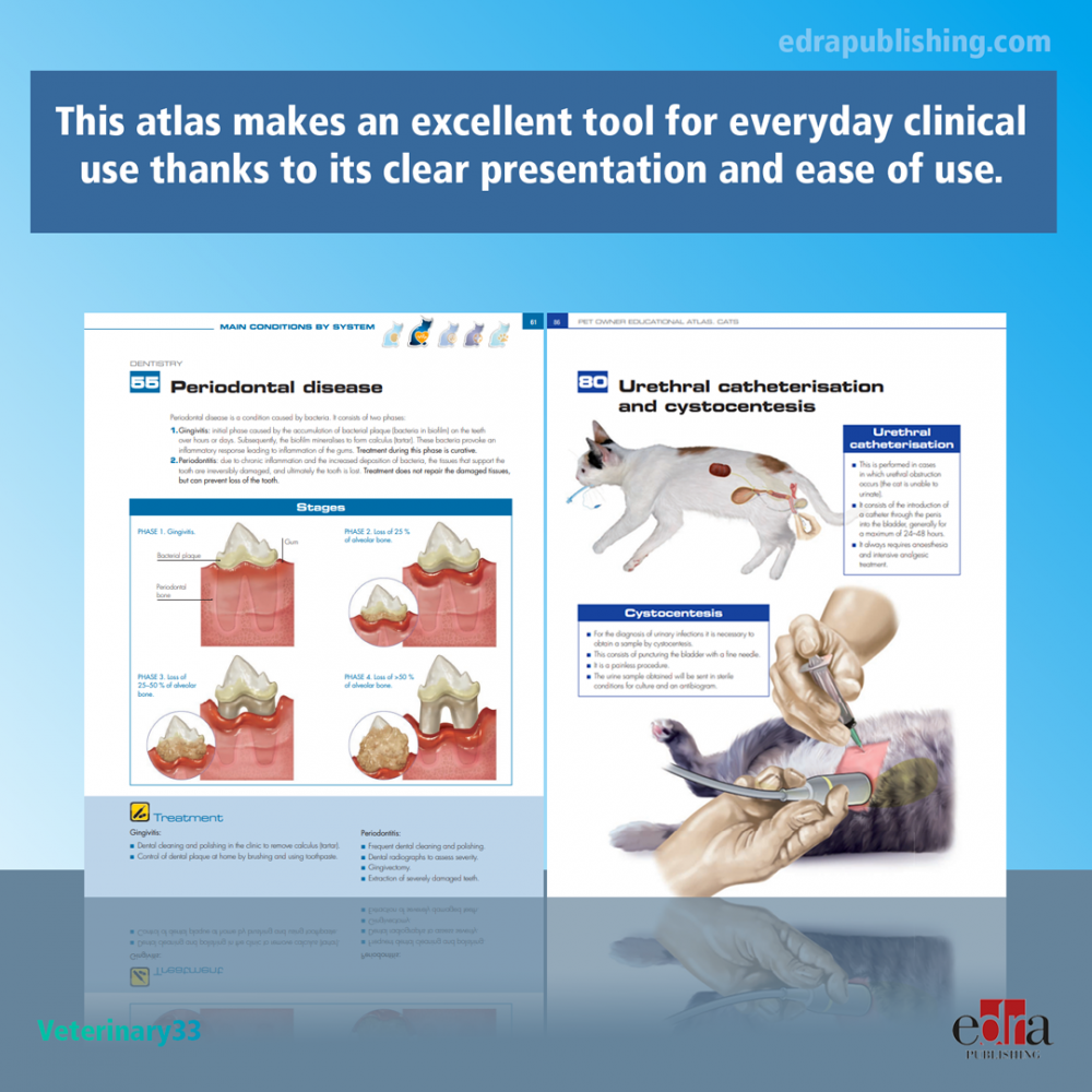 Pet Owner Educational Atlas. Cats - 2nd Edition