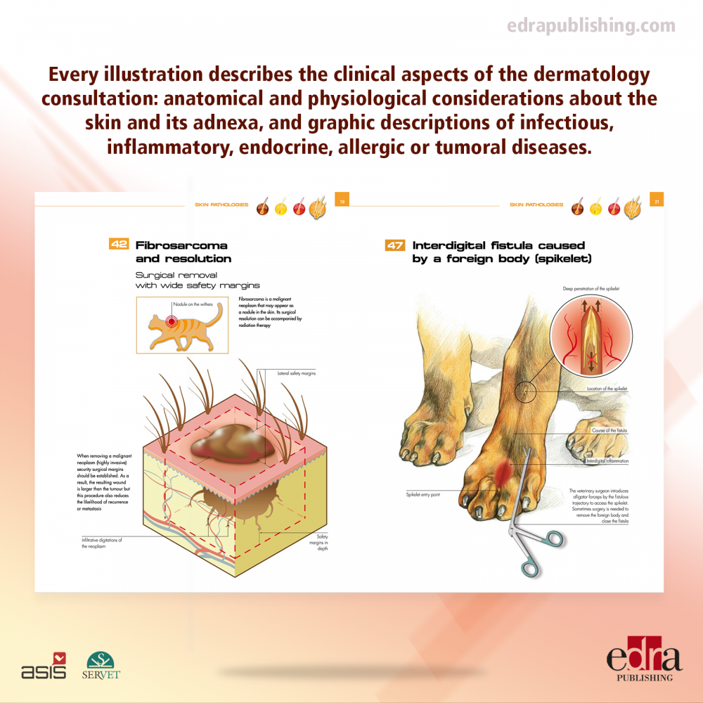 Pet Owner Educational Atlas. Dermatology