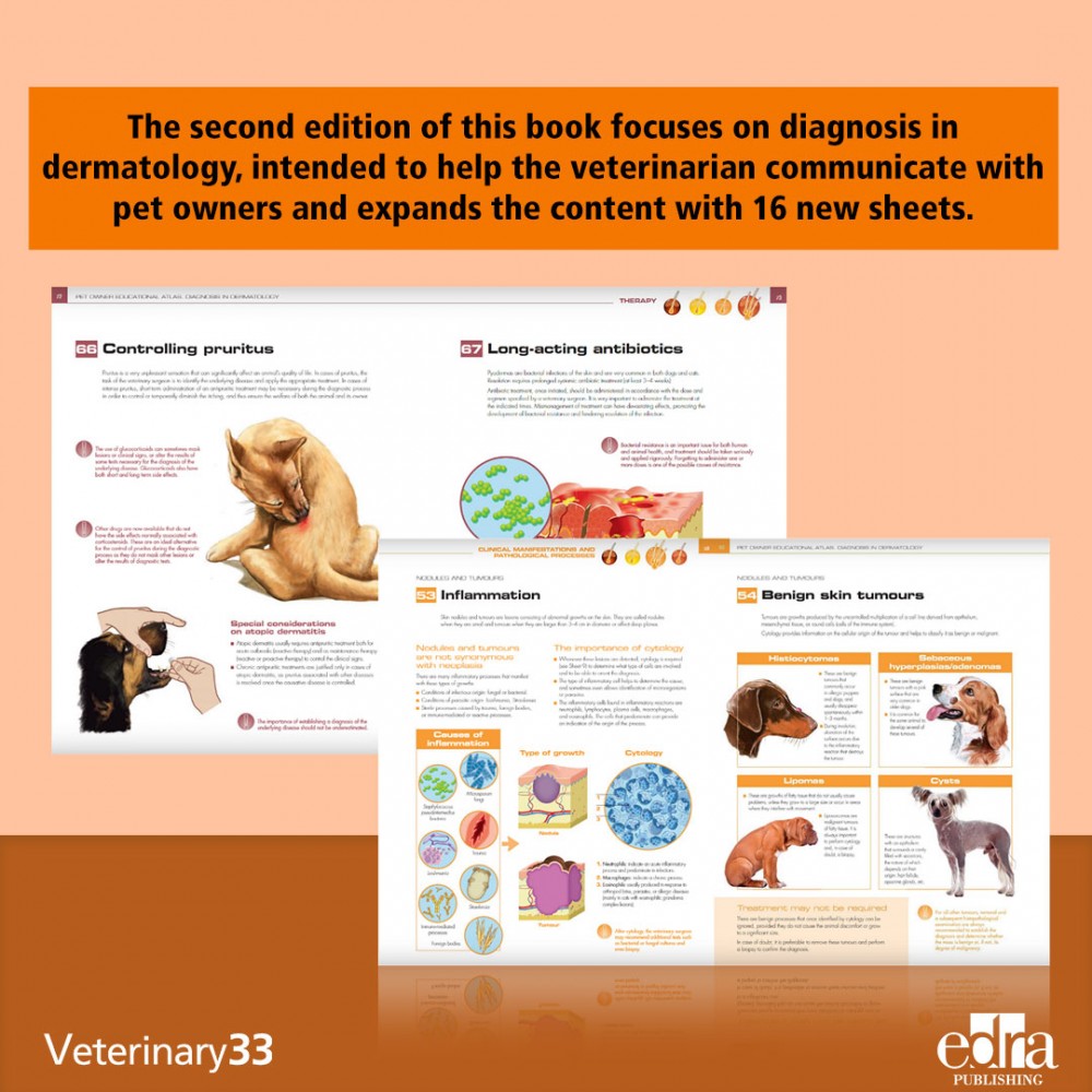 Pet Owner Educational Atlas: Diagnosis in Dermatology (2nd edition)