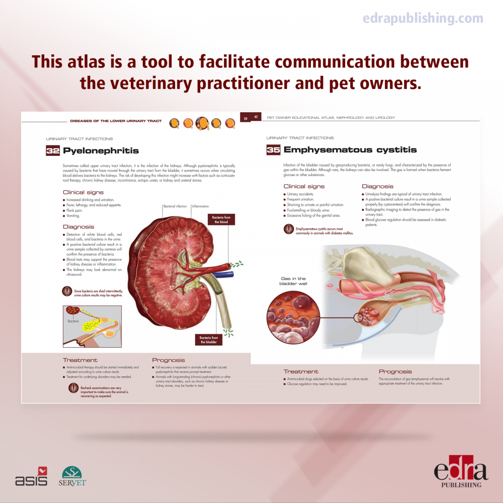 Pet Owner Educational Atlas. Nephrology and Urology