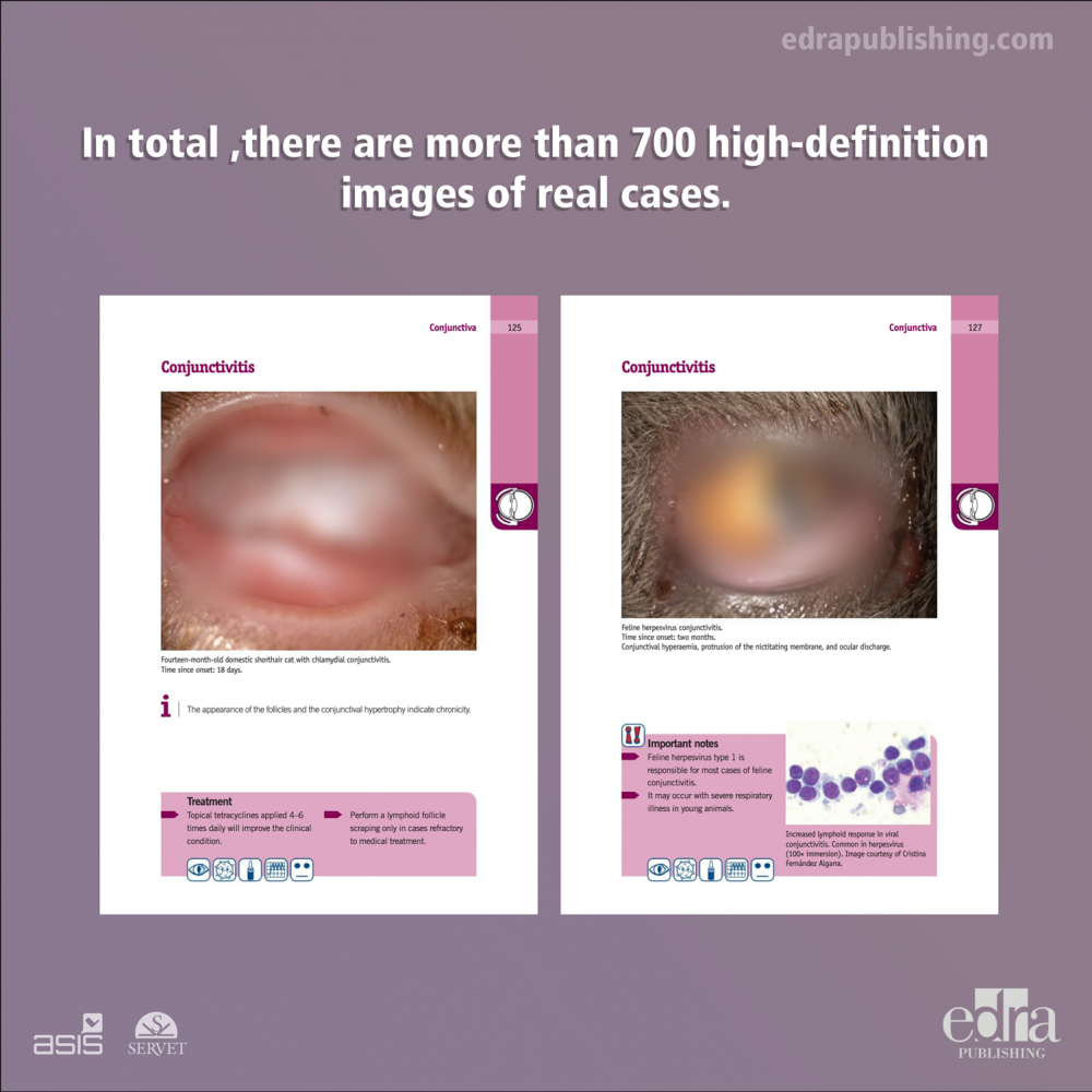 Quick guidebook to canine and feline ophthalmology - 2nd edition