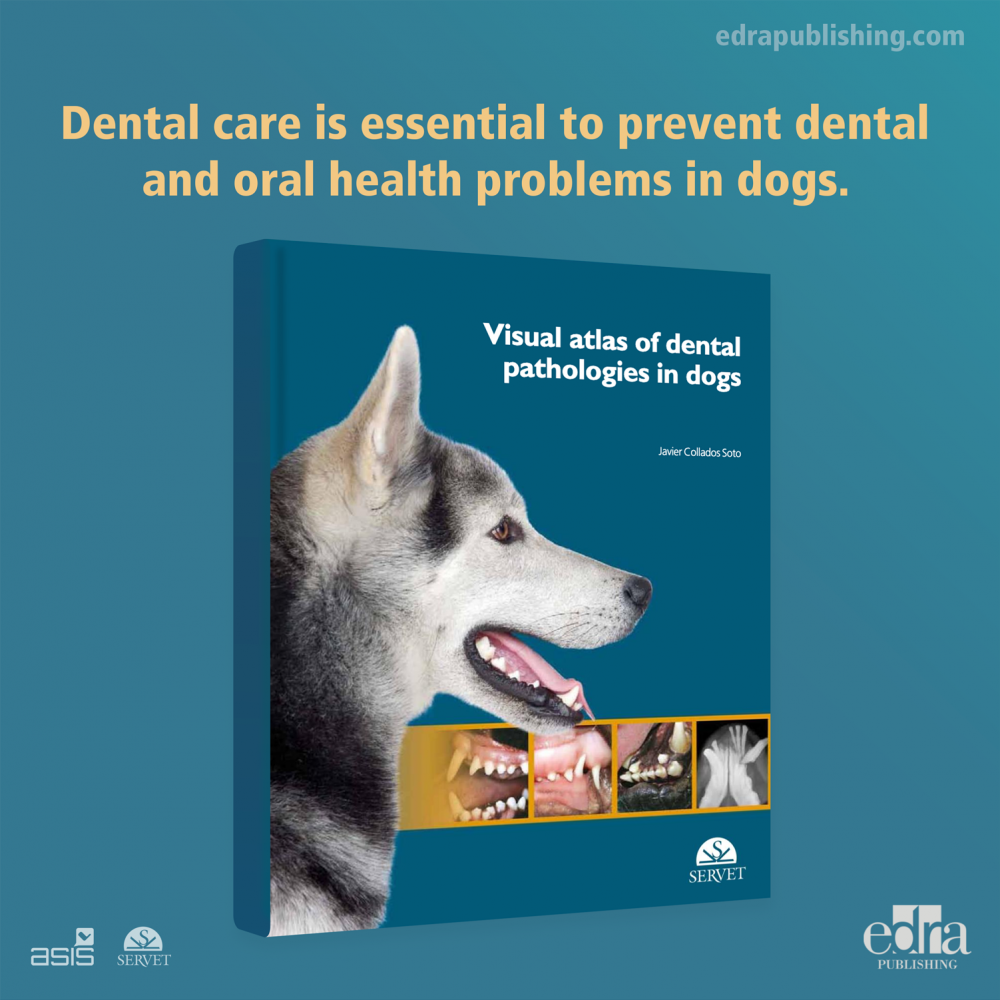 Visual Atlas of Dental Pathologies in Dogs