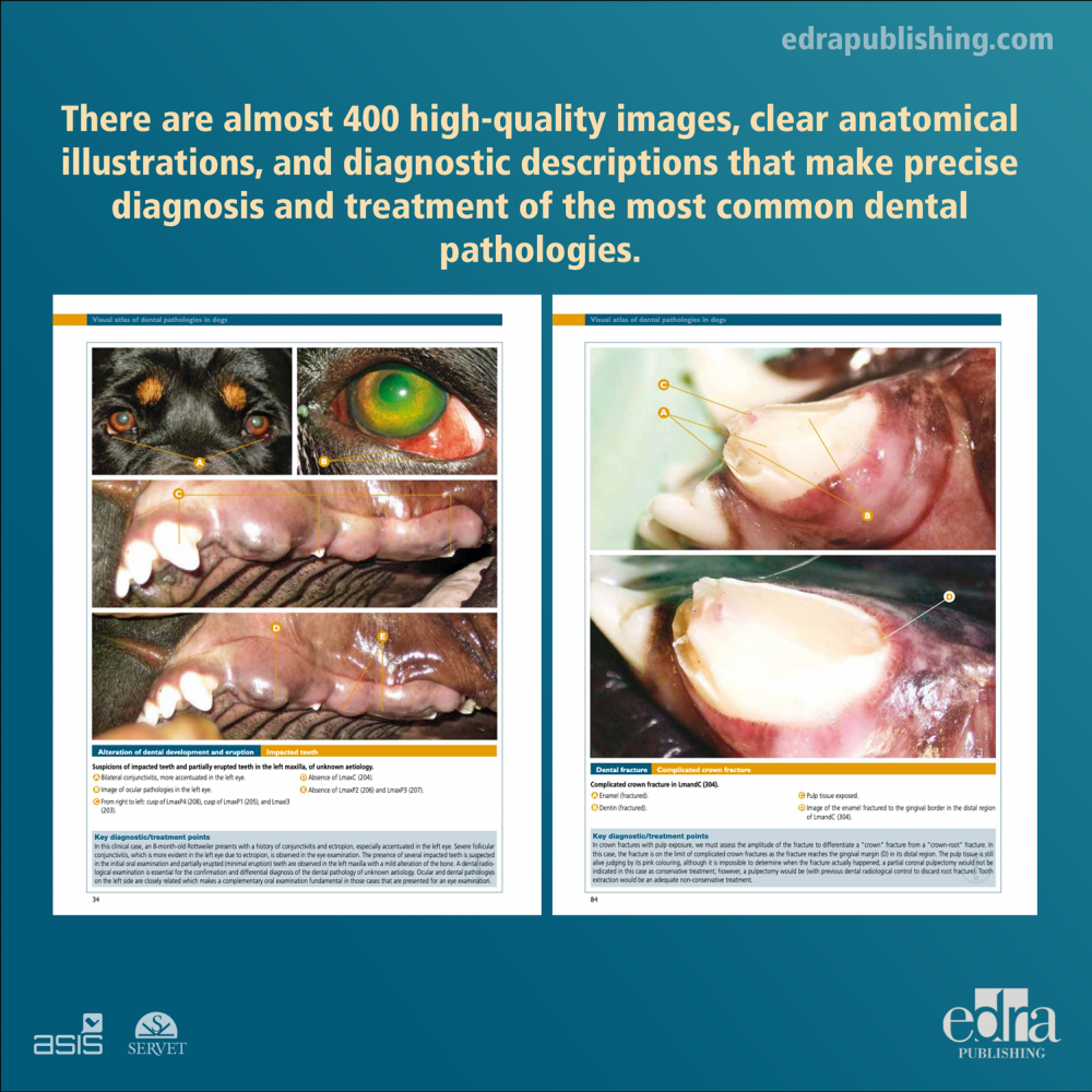Visual Atlas of Dental Pathologies in Dogs