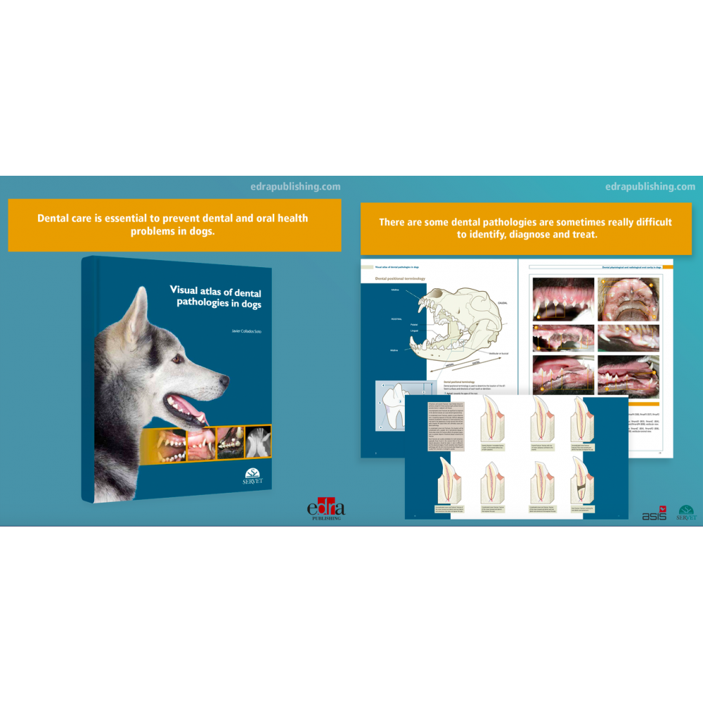 Visual Atlas of Dental Pathologies in Dogs