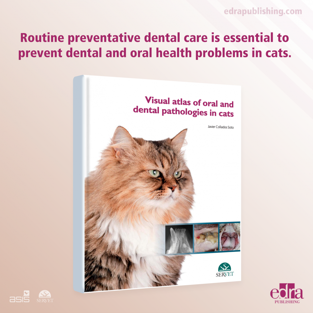 Visual Atlas of Oral and Dental Pathologies in Cats
