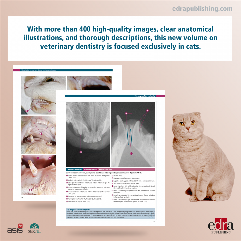 Visual Atlas of Oral and Dental Pathologies in Cats