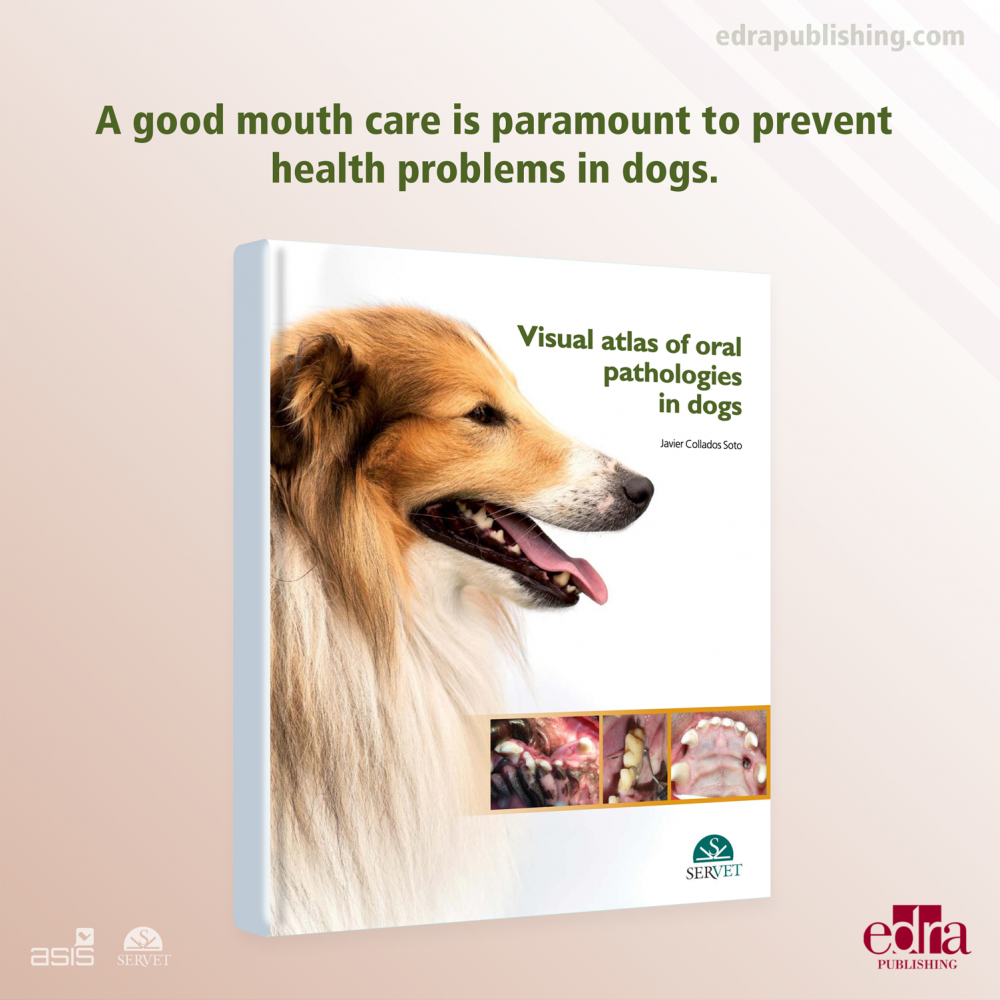 Visual Atlas of Oral Pathologies in Dogs