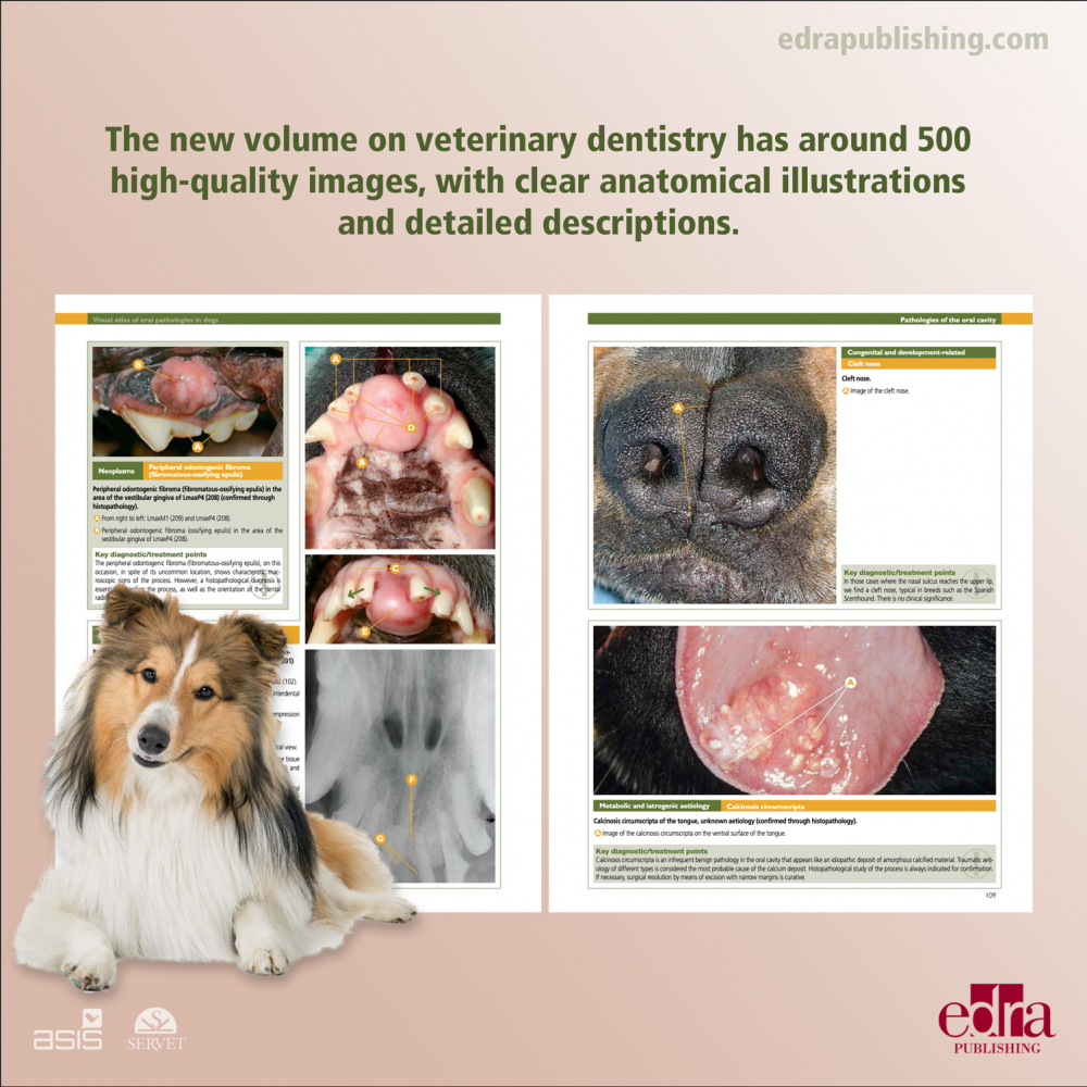 Visual Atlas of Oral Pathologies in Dogs