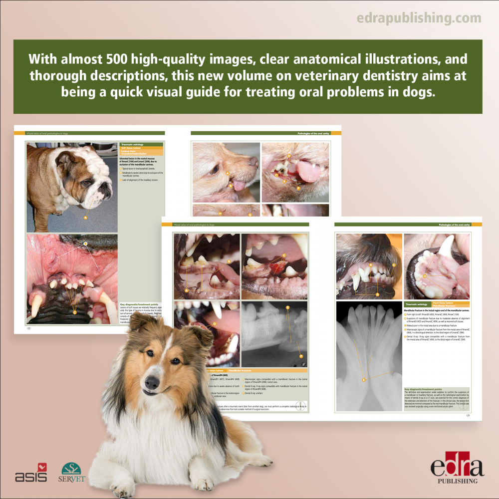 Visual Atlas of Oral Pathologies in Dogs